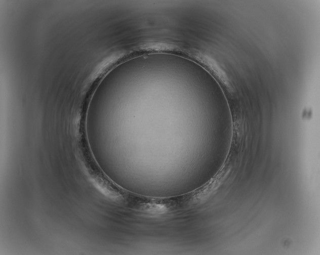 X0000097840159200803141215