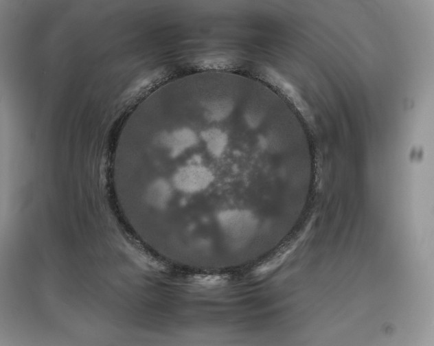 X0000097840161200803141215