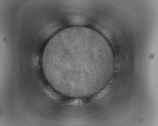 X0000097840162200803141215