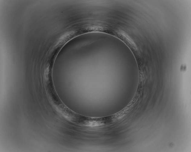 X0000097840163200803141215