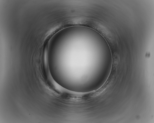 X0000097840164200803141215
