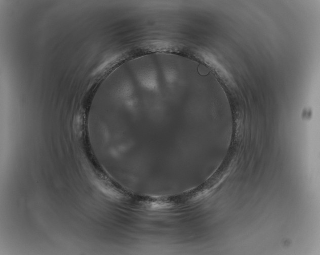 X0000097840165200803141215