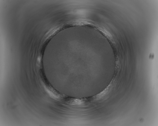 X0000097840166200803141215