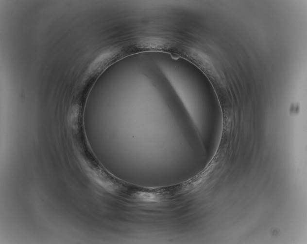 X0000097840167200803141215