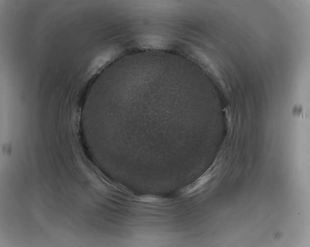 X0000097840168200803141215