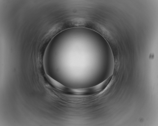 X0000097840170200803141216