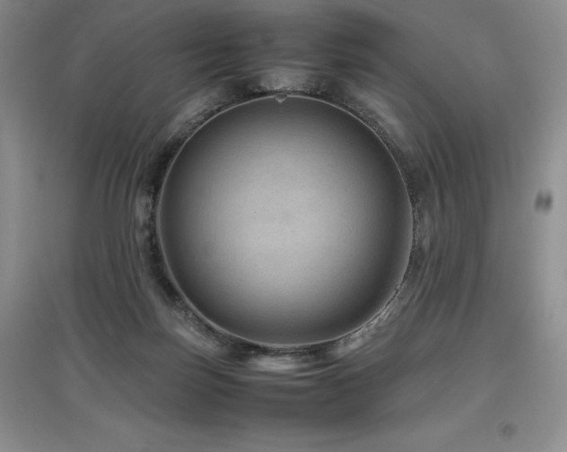 X0000097840171200803141216