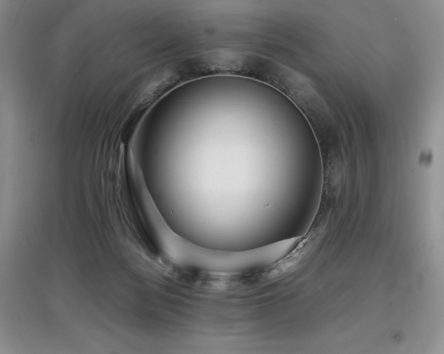 X0000097840172200803141216