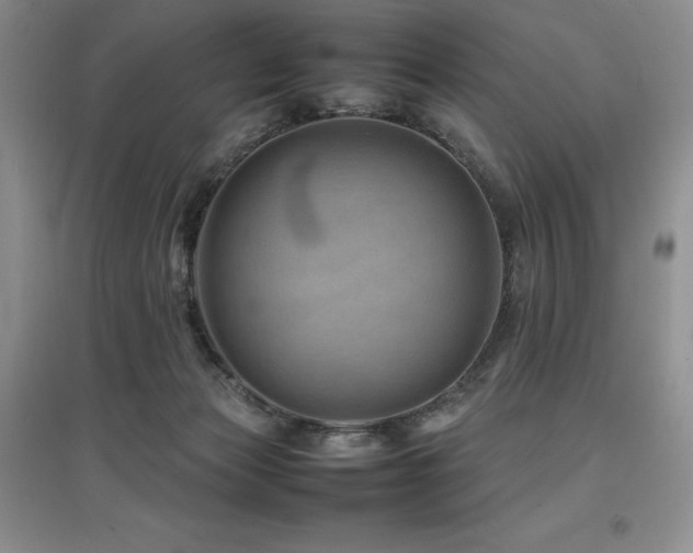X0000097840173200803141216
