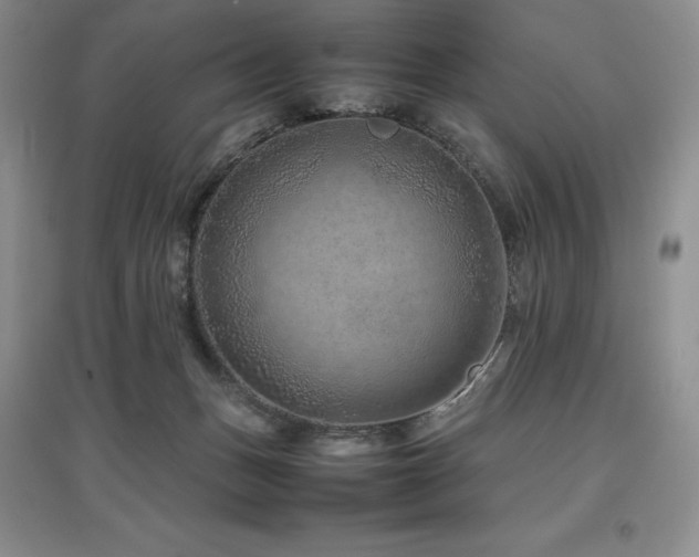 X0000097840175200803141216