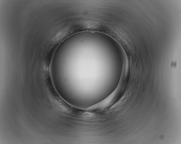 X0000097840176200803141216