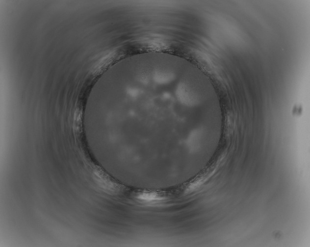 X0000097840177200803141216