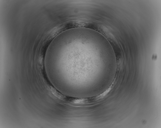 X0000097840178200803141216