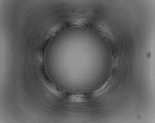 X0000097840179200803141216