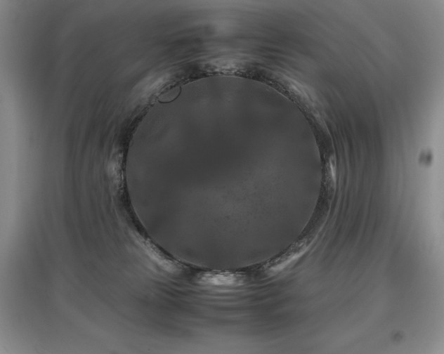 X0000097840181200803141216