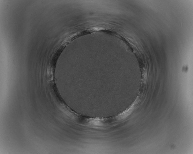 X0000097840182200803141216