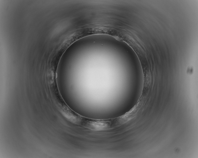 X0000097840183200803141216