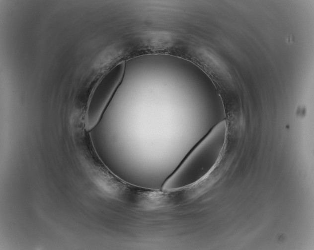 X0000097840184200803141216