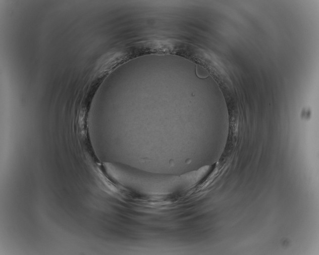 X0000097840185200803141216