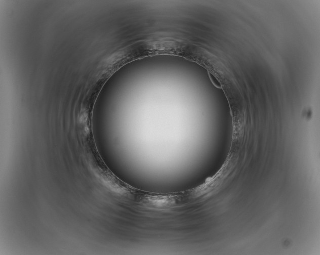 X0000097840187200803141216