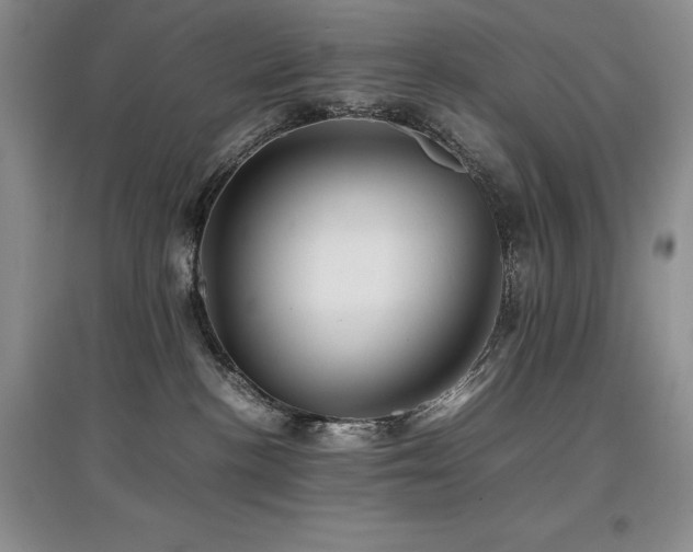 X0000097840188200803141216