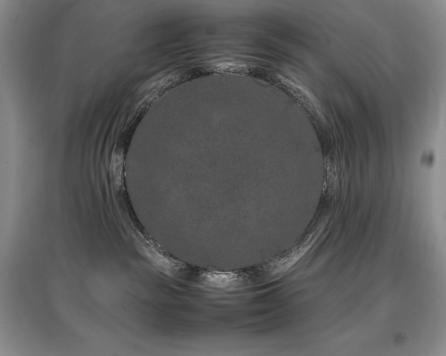 X0000097840189200803141216