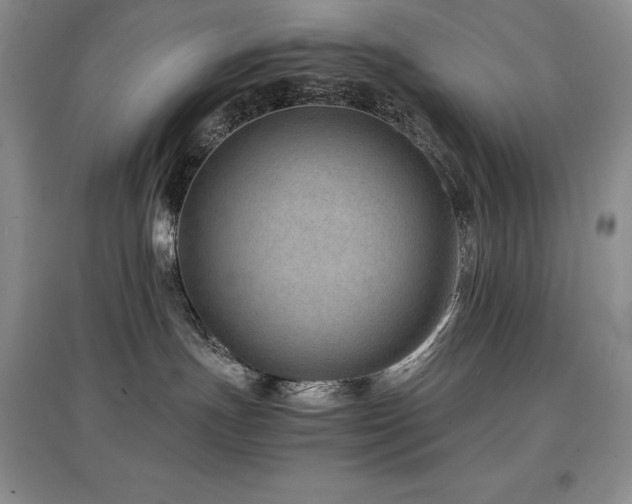 X0000097840191200803141216