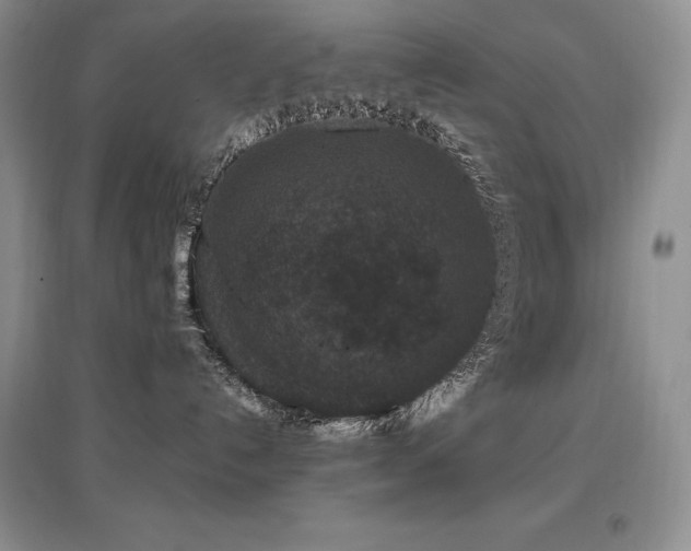X0000097840192200803141216