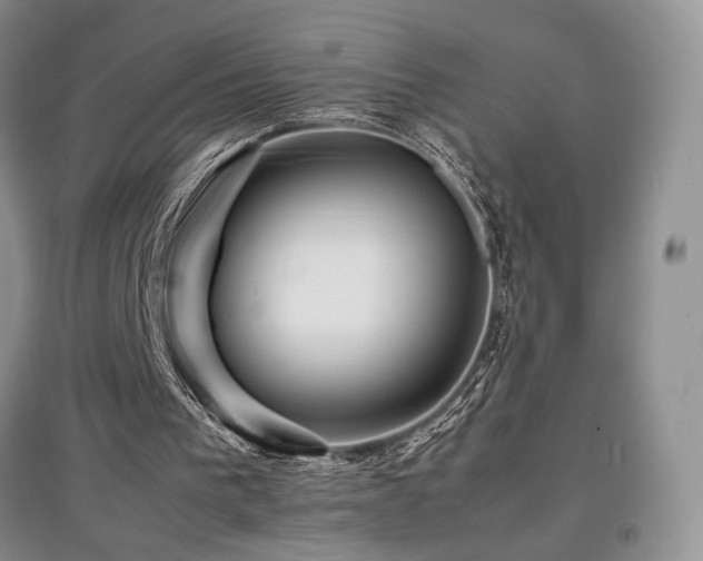 X0000097840193200803141215
