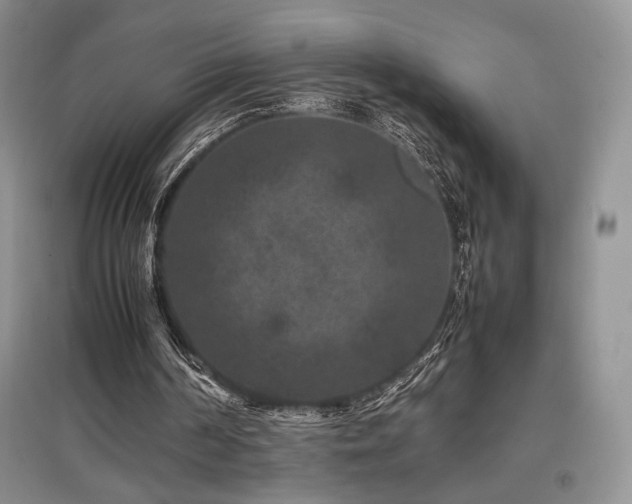 X0000097840194200803141215