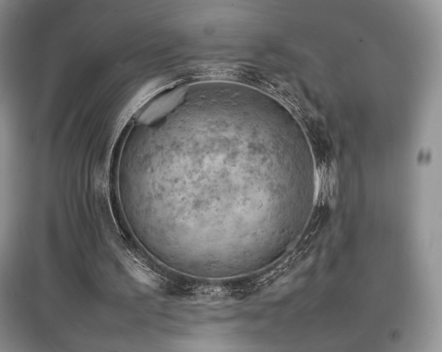 X0000097840195200803141215