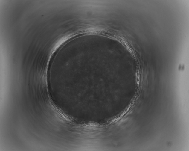 X0000097840196200803141215