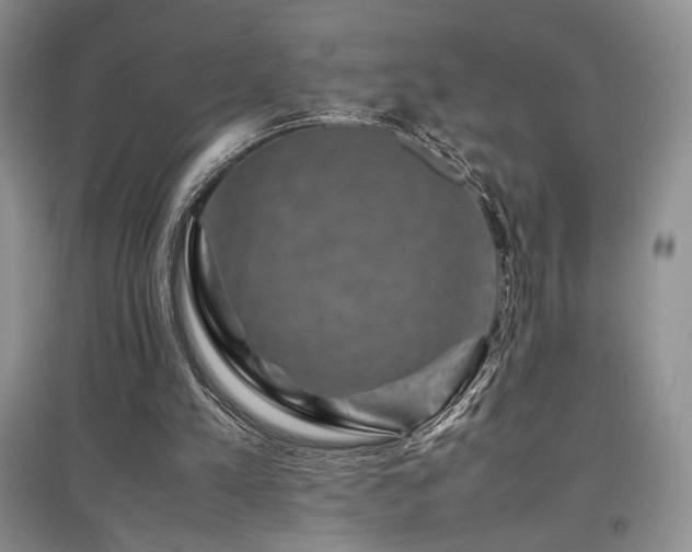 X0000097840197200803141215