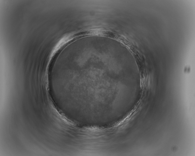 X0000097840198200803141215