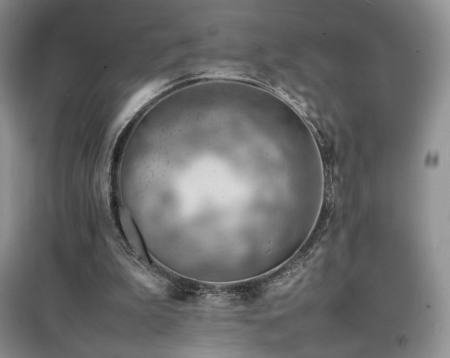 X0000097840199200803141215