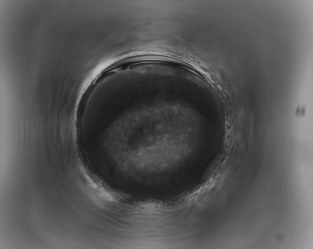 X0000097840200200803141215