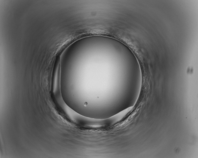 X0000097840201200803141215