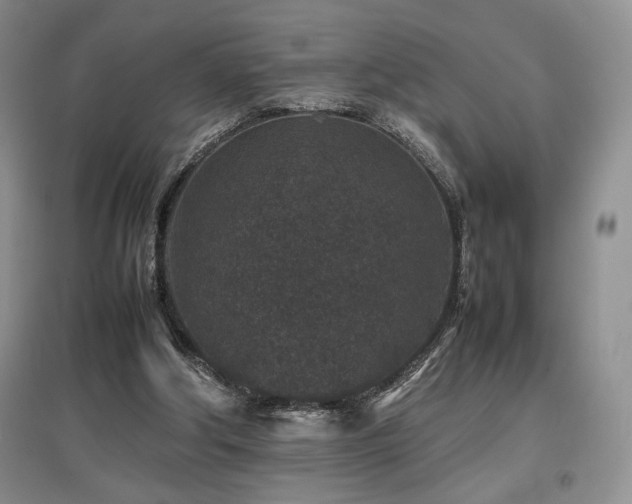 X0000097840202200803141215