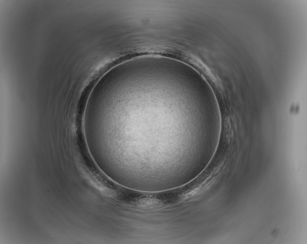 X0000097840203200803141215