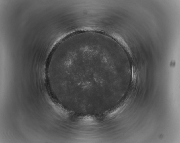 X0000097840204200803141215