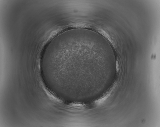 X0000097840205200803141215
