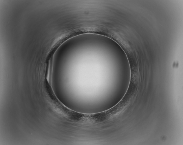 X0000097840207200803141215