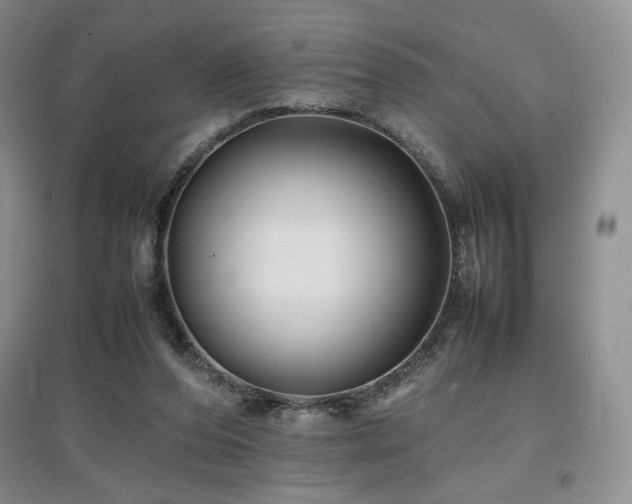 X0000097840208200803141215