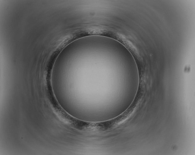 X0000097840209200803141215