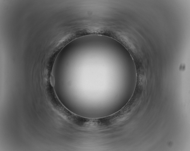 X0000097840211200803141215