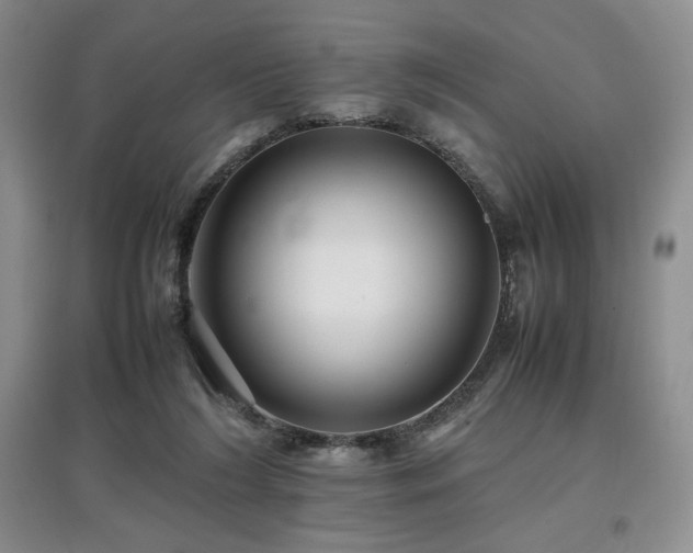 X0000097840212200803141215