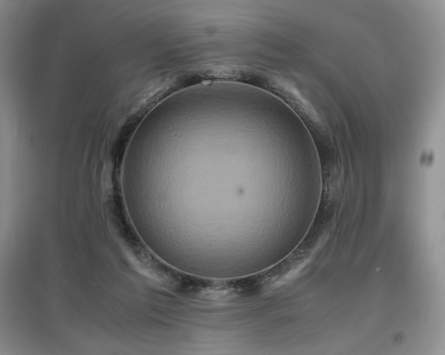 X0000097840213200803141215