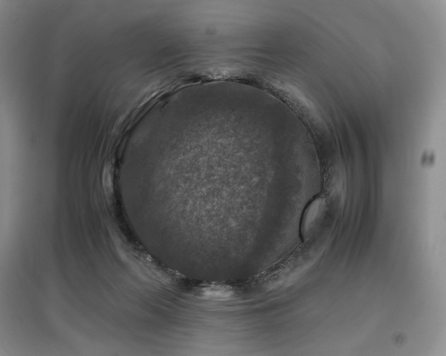 X0000097840214200803141215