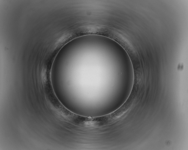 X0000097840216200803141215