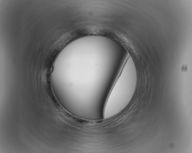 X0000097840217200803141215